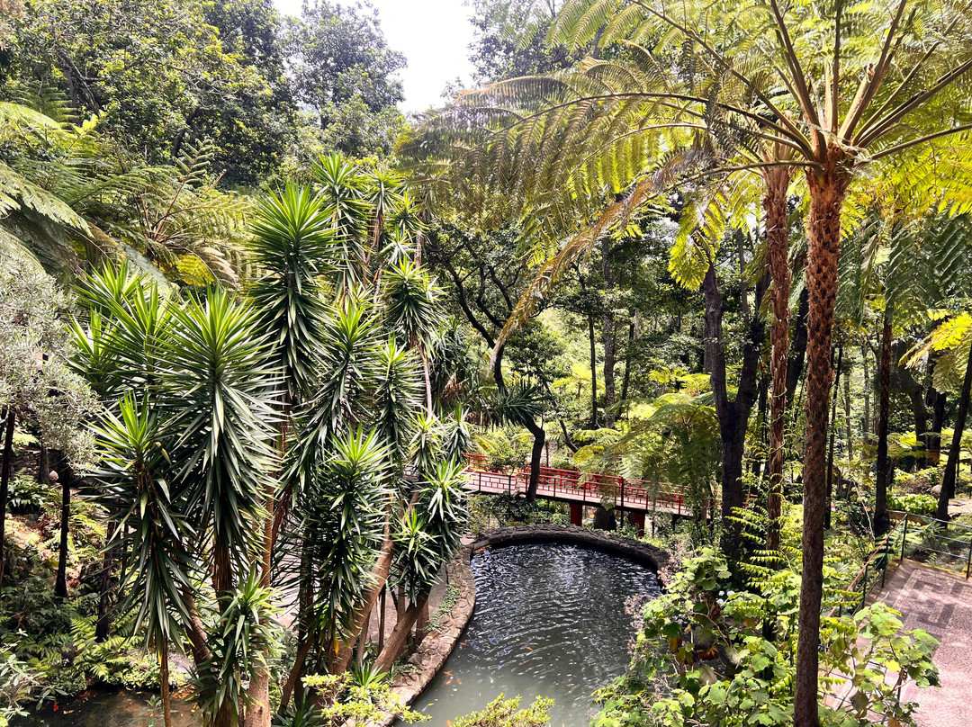 Monte Palace Madeira-沙尔必去景点