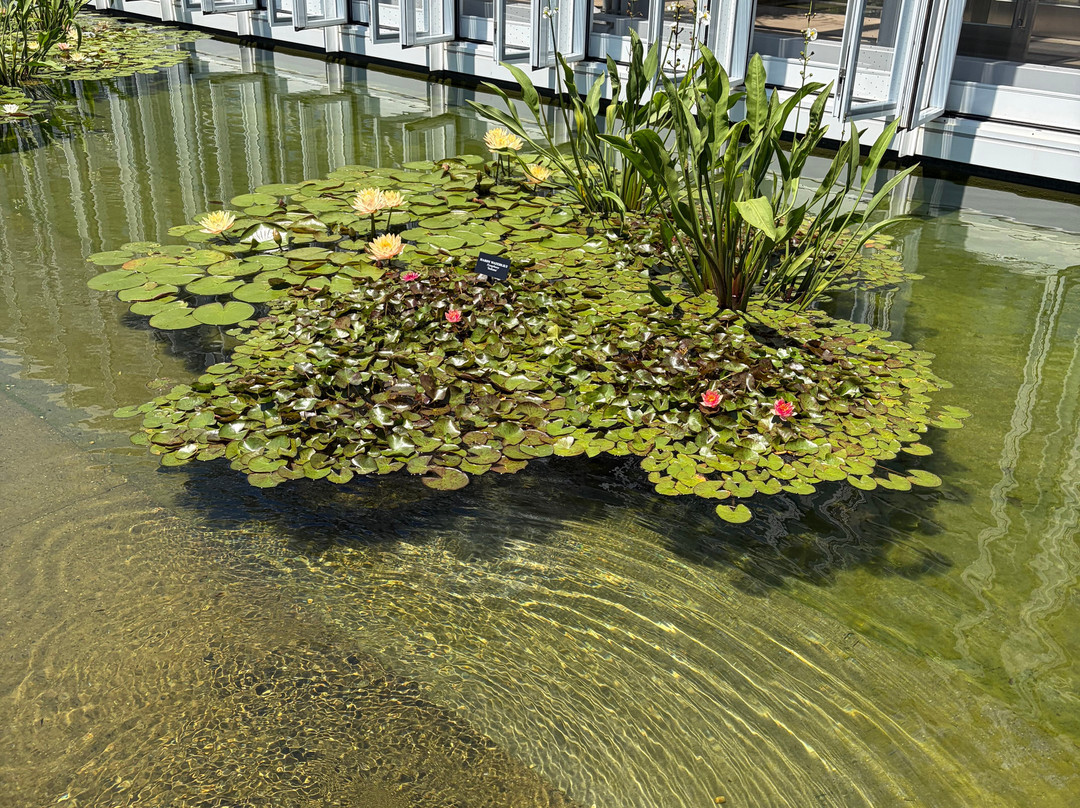 Longwood Gardens-肯尼特斯奎尔必去景点