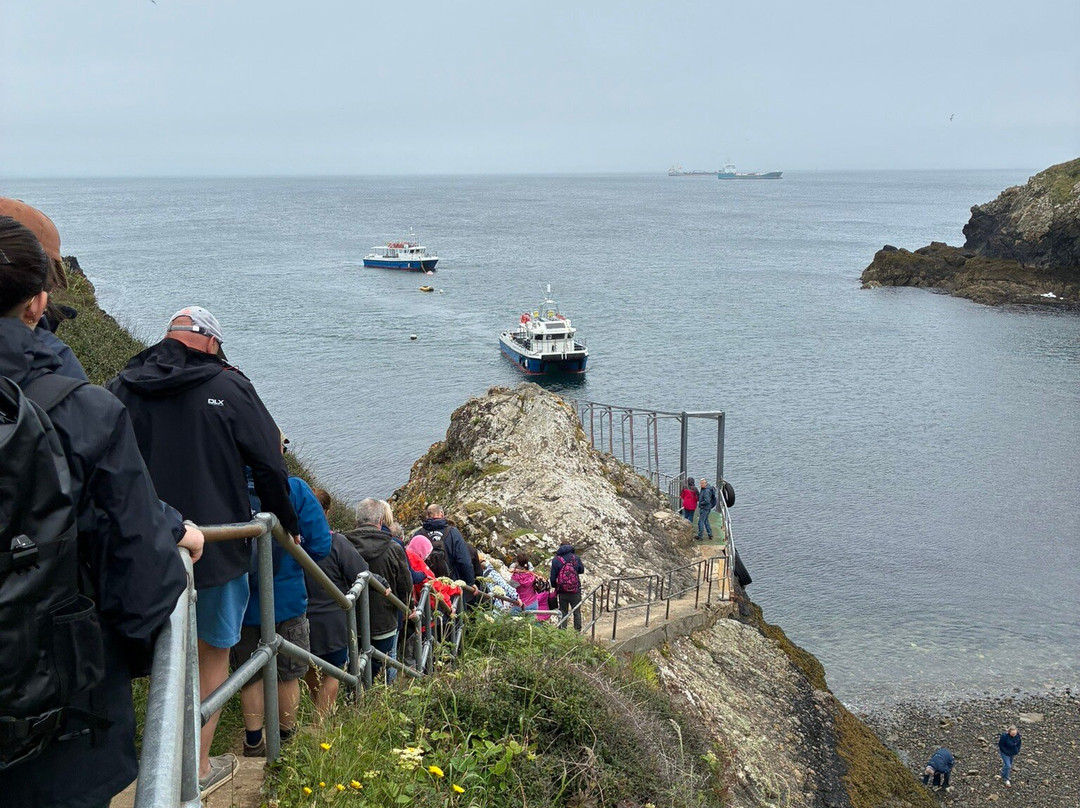 Pembrokeshire Islands Boat Trips-Skomer Island必去景点