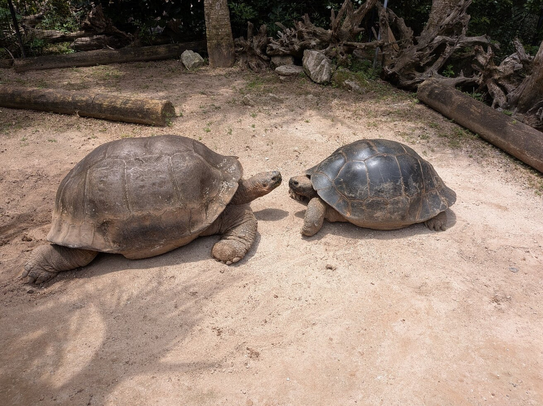 Bermuda Aquarium, Museum & Zoo-Hamilton Parish必去景点