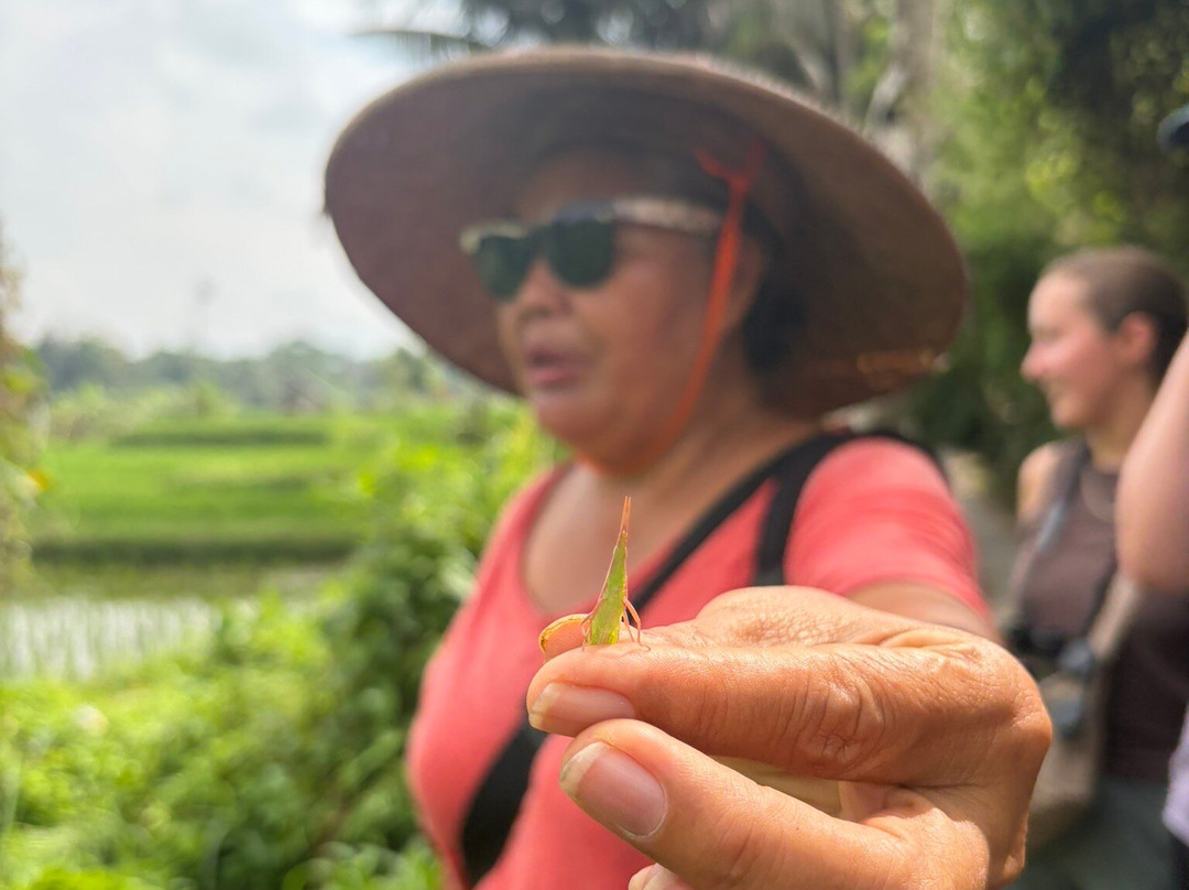 Bali Bird Walks-乌布必去景点