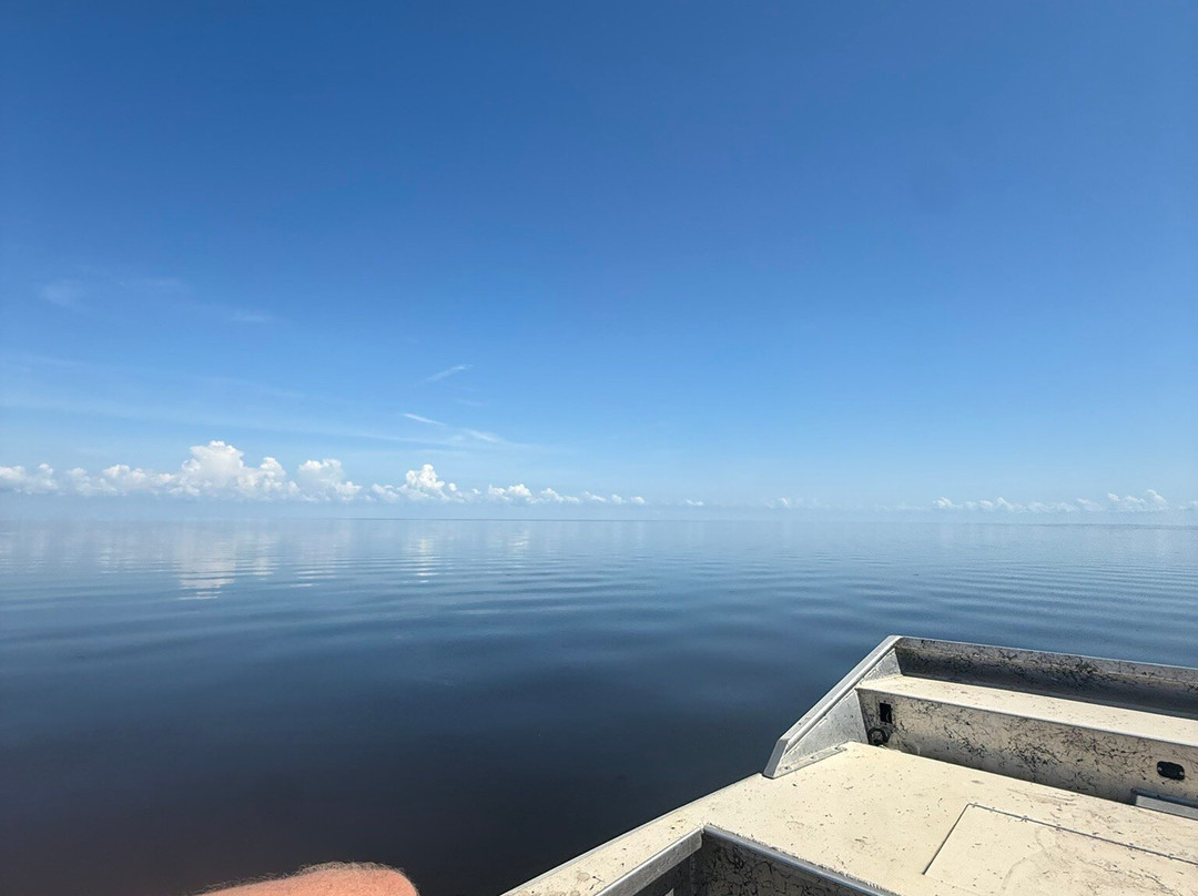 Master Gator Airboat Tours of Palm Beach County-西棕榈滩必去景点
