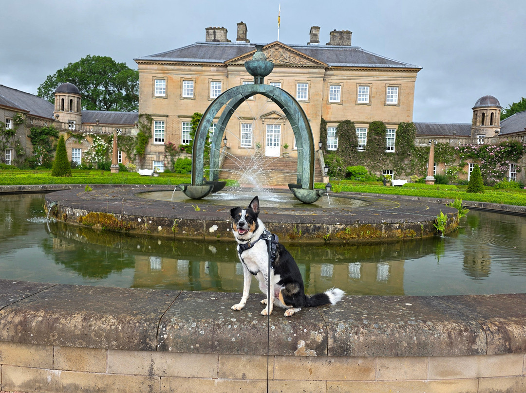 Dumfries House-Cumnock必去景点