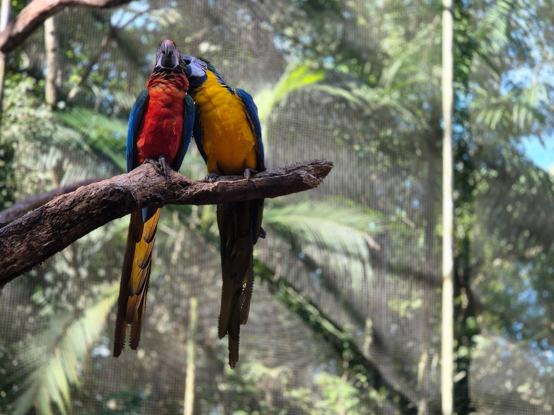 Parque das Aves-伊瓜苏必去景点