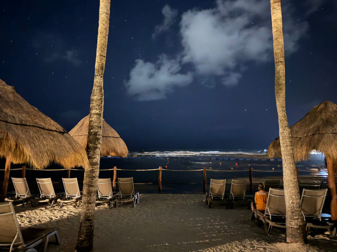 Catalonia Yucatan Beach - All Inclusive主图