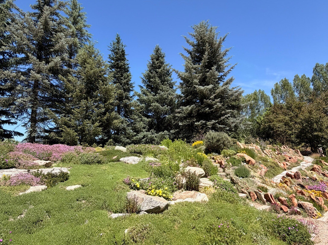 Yampa River Botanic Park-斯廷博特斯普林斯必去景点