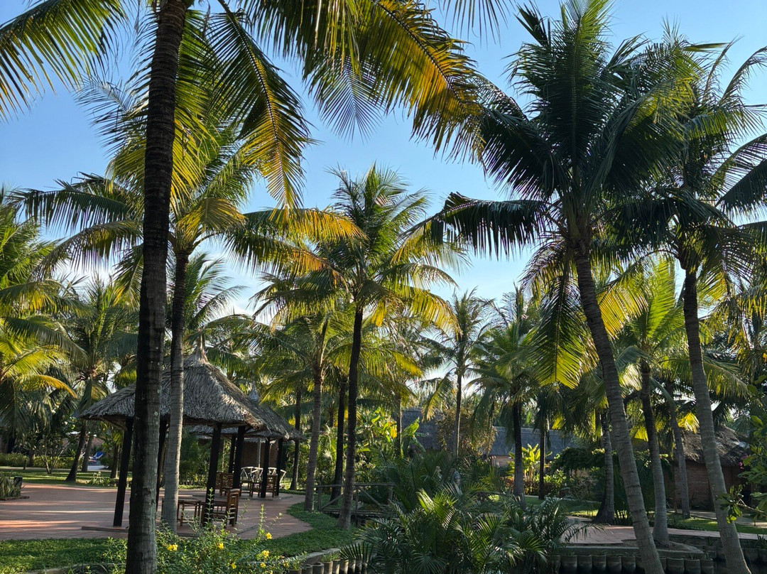 ENSO Retreat Hoi An - Rediscovery & Serenity主图