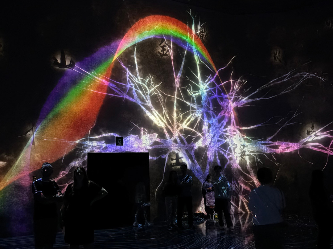 Teamlab Borderless Tokyo-港区必去景点
