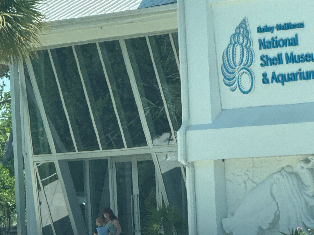 The Bailey-Matthews National Shell Museum & Aquarium-萨尼贝尔岛必去景点