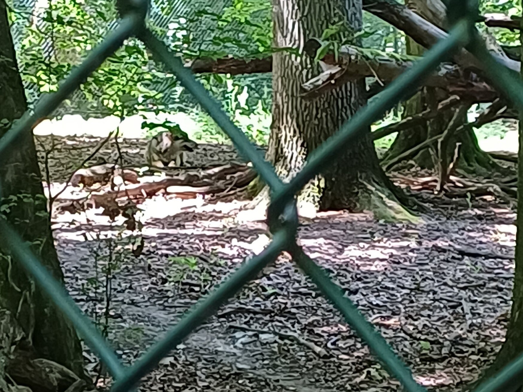 Tierpark Sababurg-Hofgeismar必去景点
