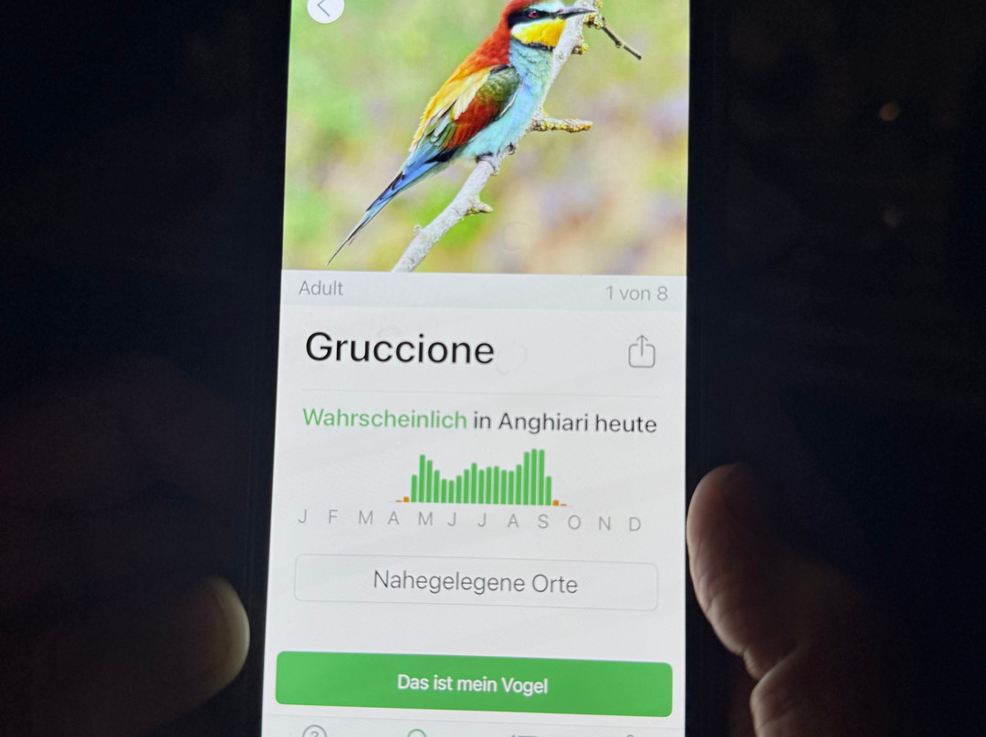Birding In Italy-Capolona必去景点