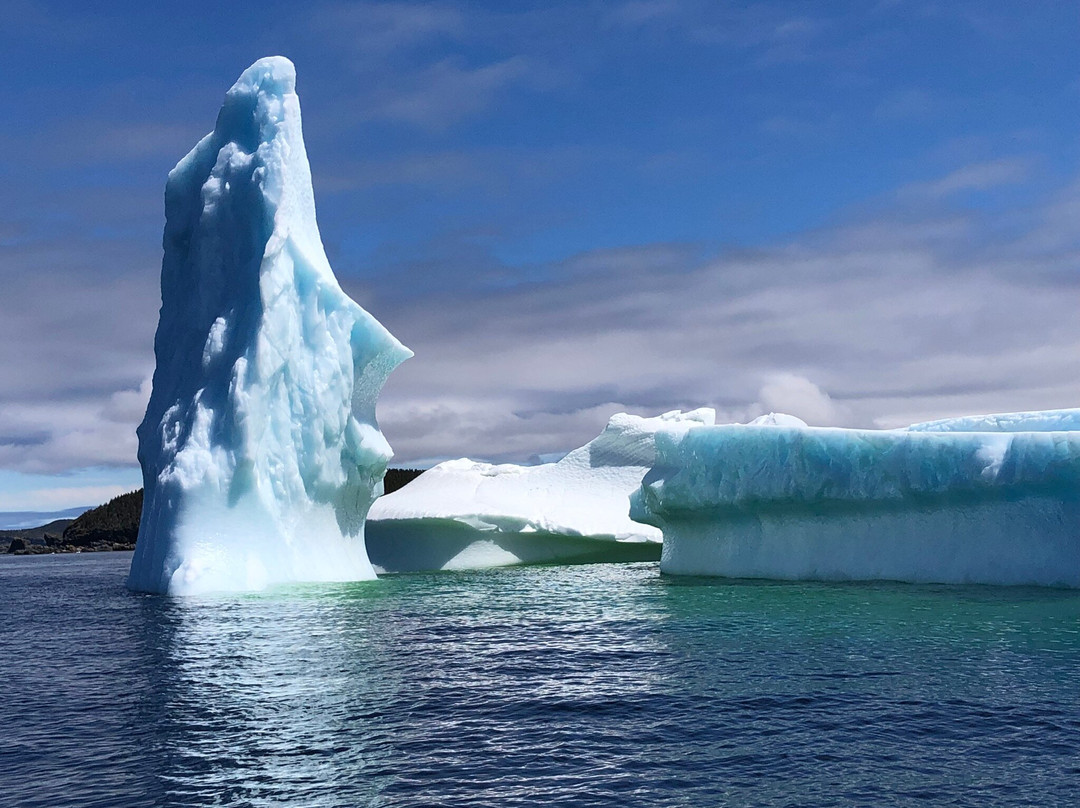 Twillingate Adventure Tours-Twillingate必去景点
