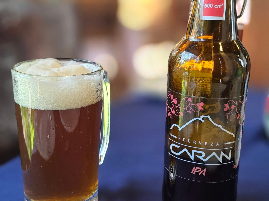 平萨奇庄园酒店主图