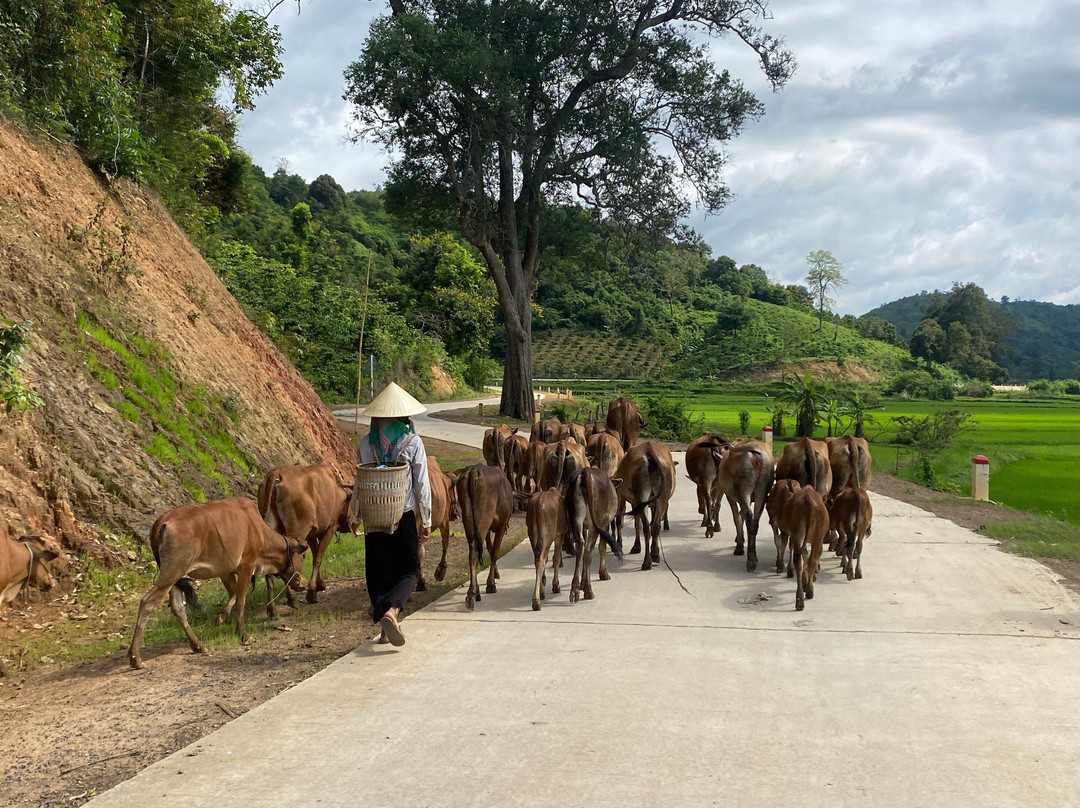 Dalat Discovery Travel-大勒必去景点