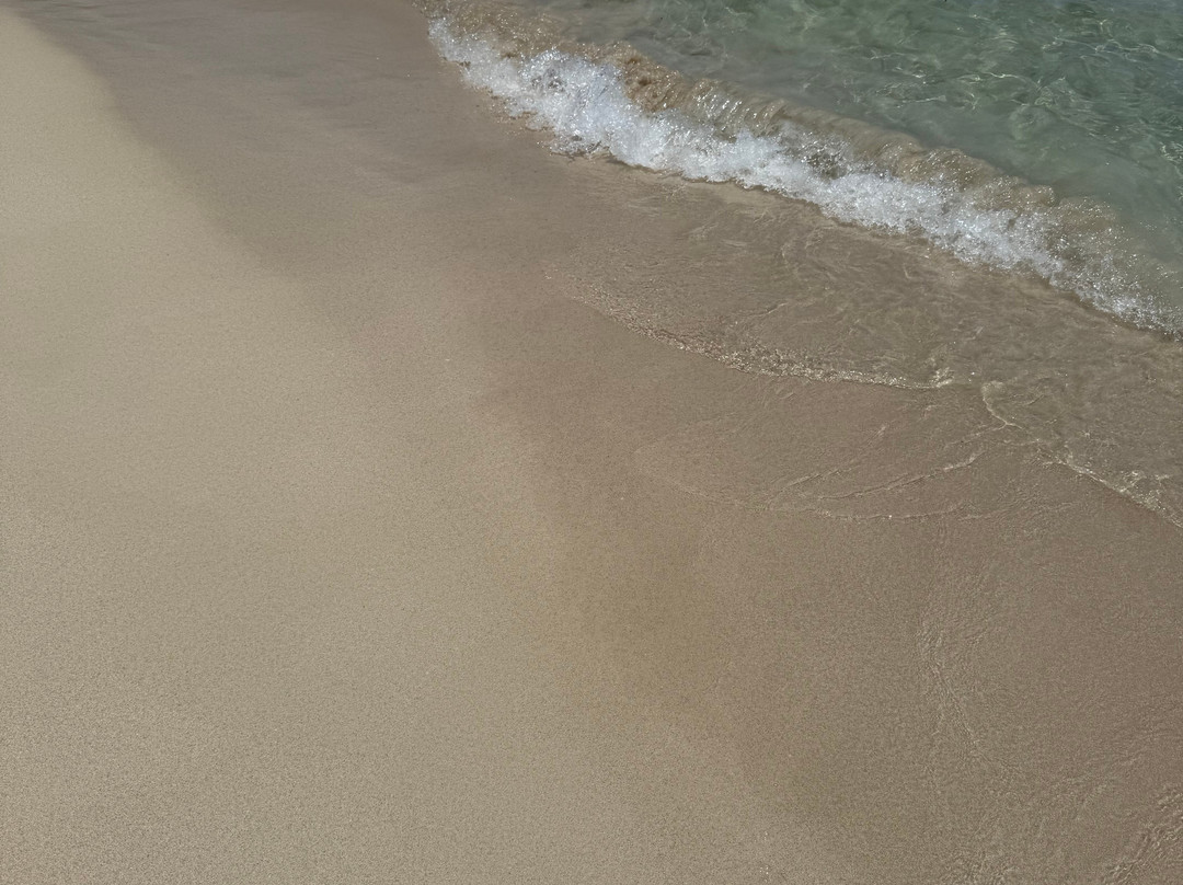 Cala Agulla-Cala Ratjada必去景点