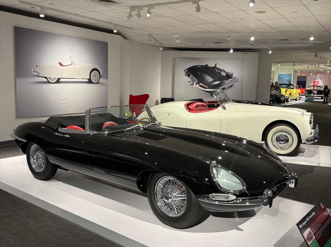 Newport Car Museum-Portsmouth必去景点