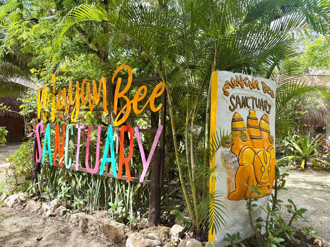 Mayan Bee Sanctuary-San Miguel de Cozumel必去景点