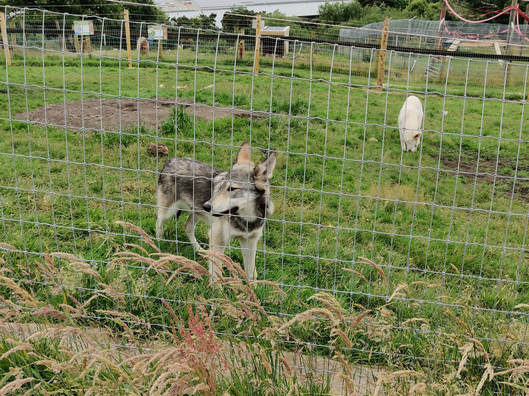 Errigal View Pet Farm-Gweedore必去景点