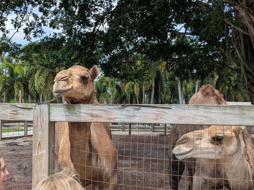 Animal EDventure Park & Safari-博因顿海滩必去景点