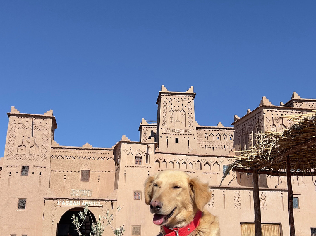 Moroccan Guides Travel-马拉喀什必去景点