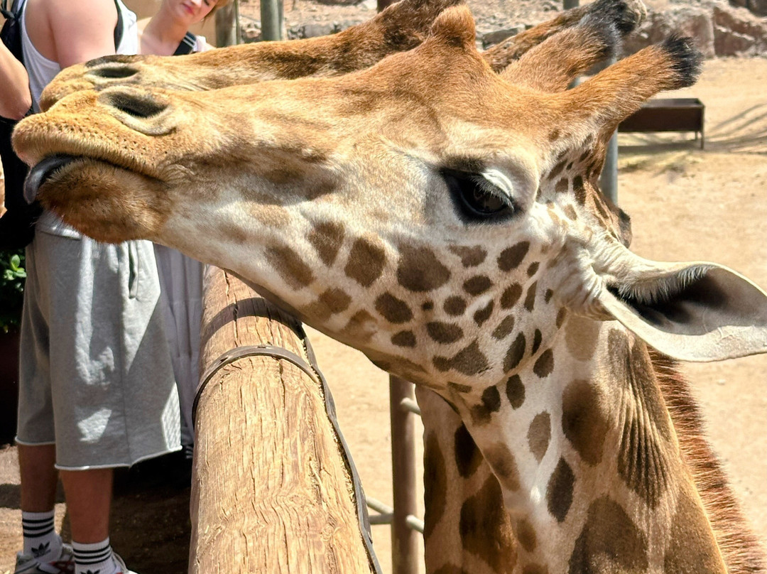 Oasis Park Fuerteventura-La Lajita必去景点