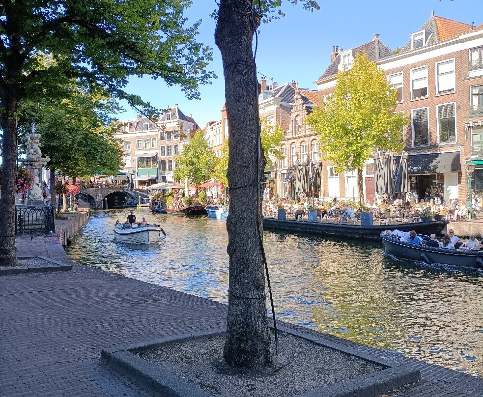 Rijn (Rhine)-莱顿必去景点