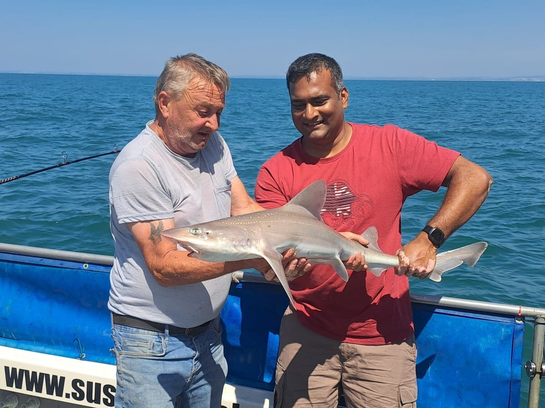 Sussex Sea Charters-West Itchenor必去景点