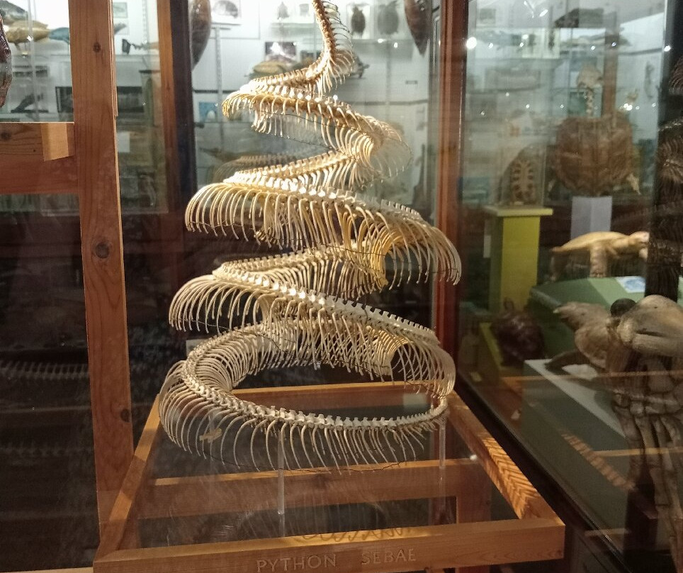 University of Aberdeen Zoology Museum-阿伯丁必去景点