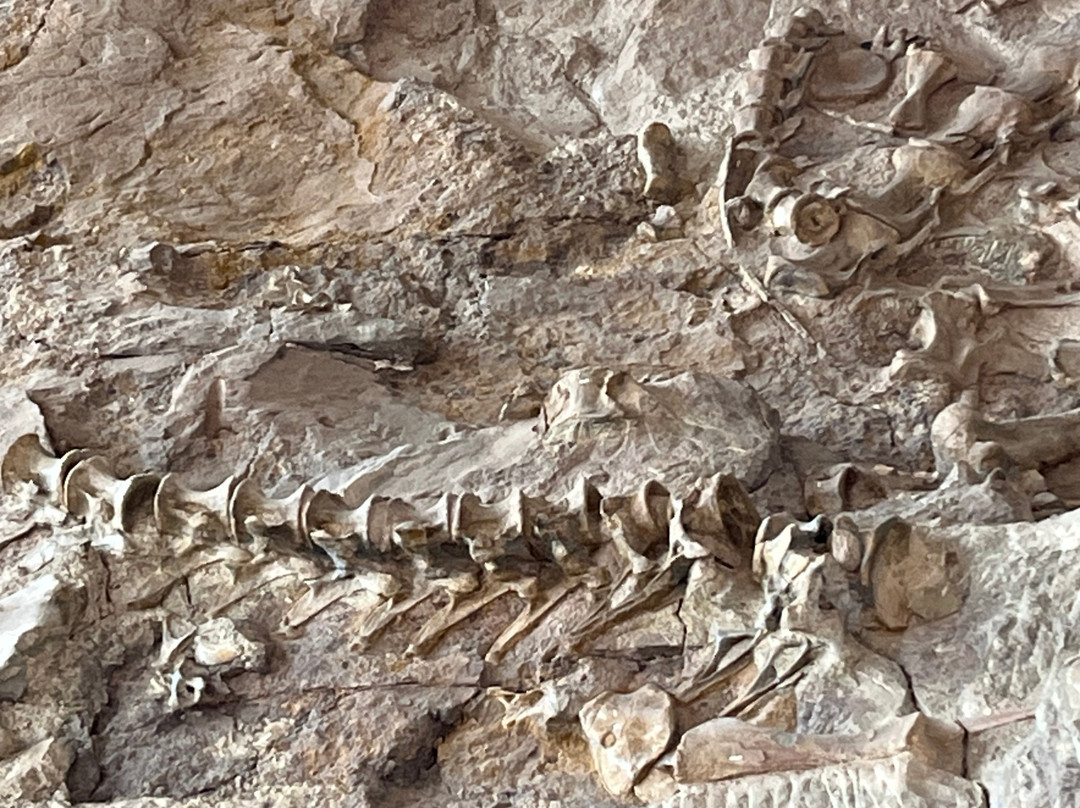 Dinosaur National Monument-Dinosaur必去景点