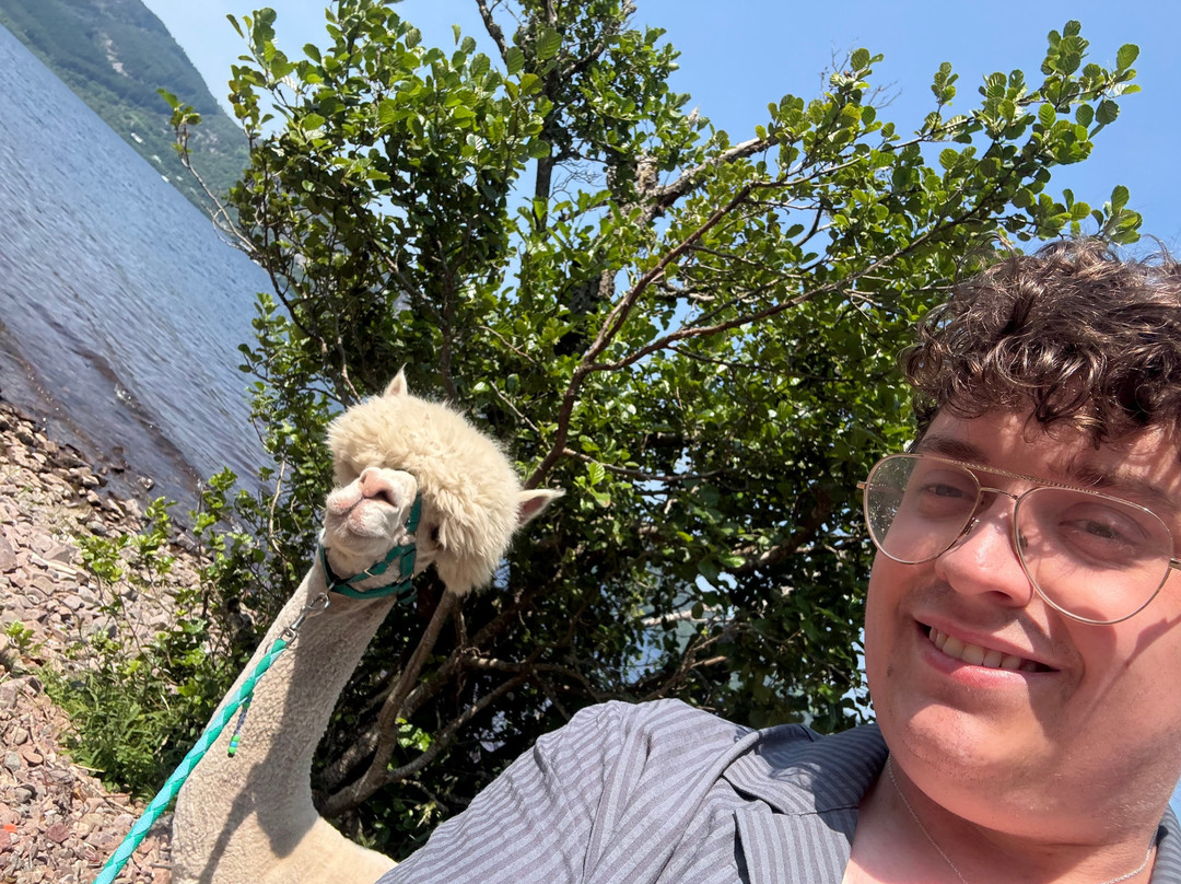 Loch Ness Alpacas-因弗内斯必去景点