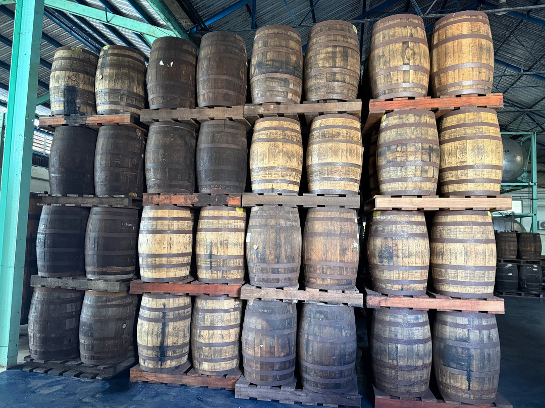 Foursquare Rum Distillery-Saint Philip Parish必去景点