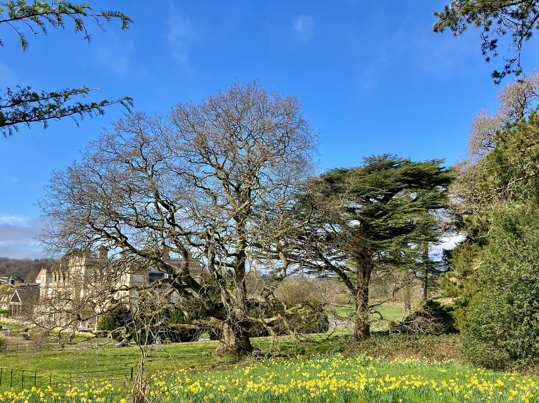 Dyffryn Gardens-St Nicholas必去景点