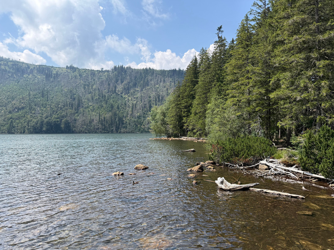Cerne jezero