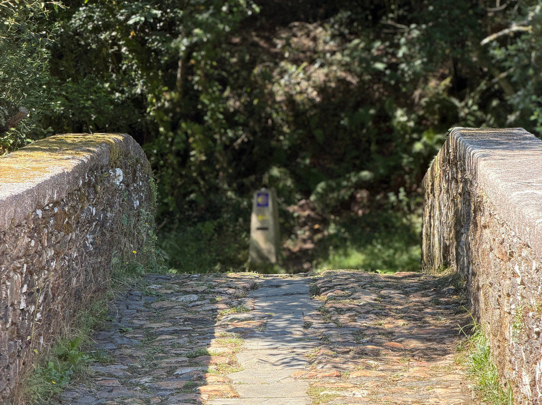 Tubuencamino-圣地亚哥德孔波斯特拉必去景点