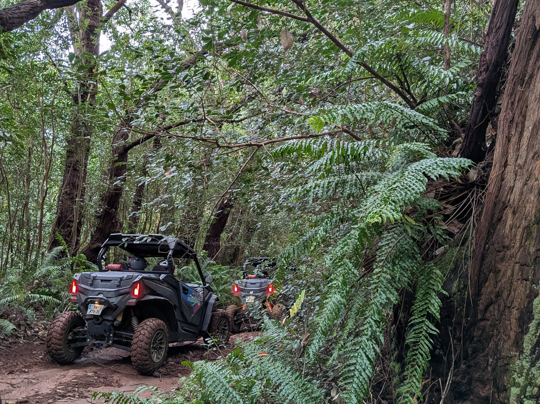 Crazy Adventures Réunion-Mont-Vert les Hauts必去景点
