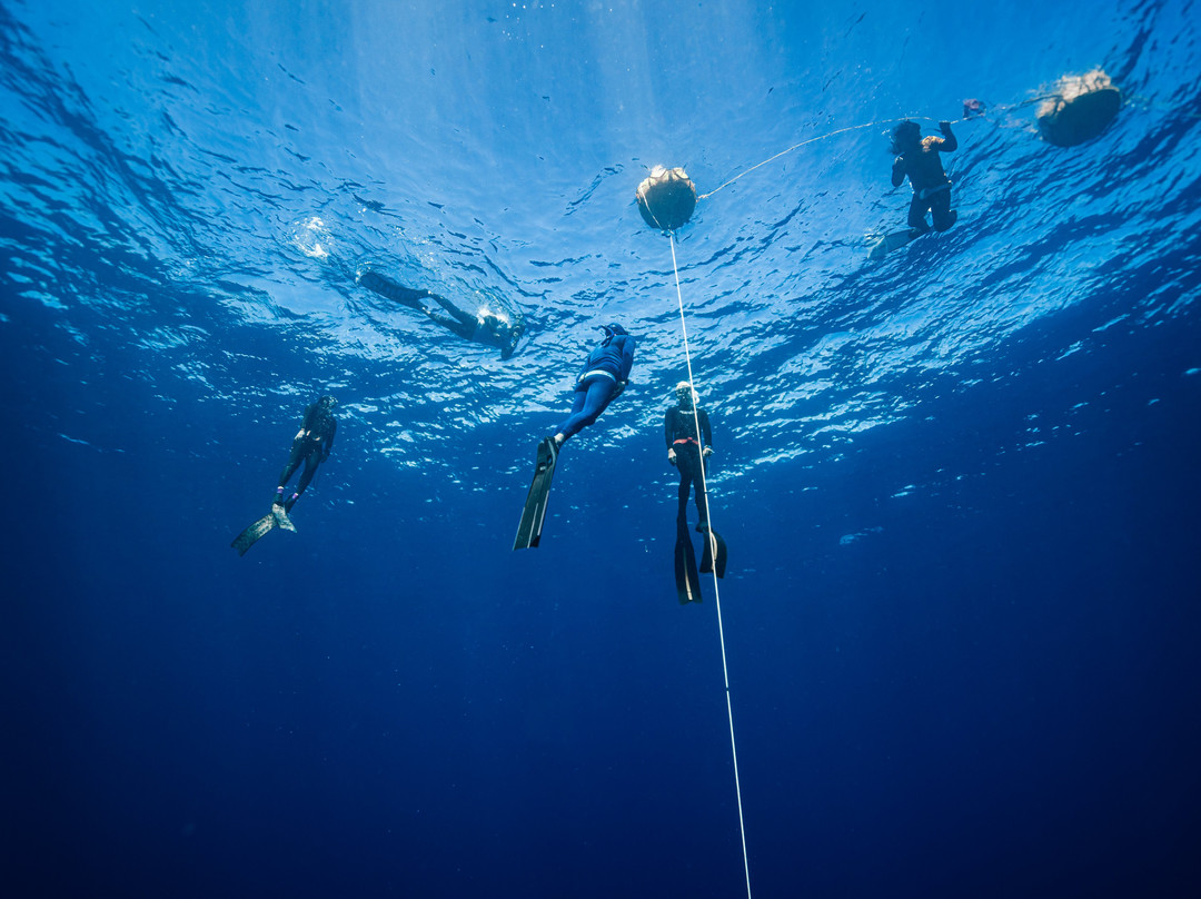 Ocean Bx Freediving-Mati必去景点