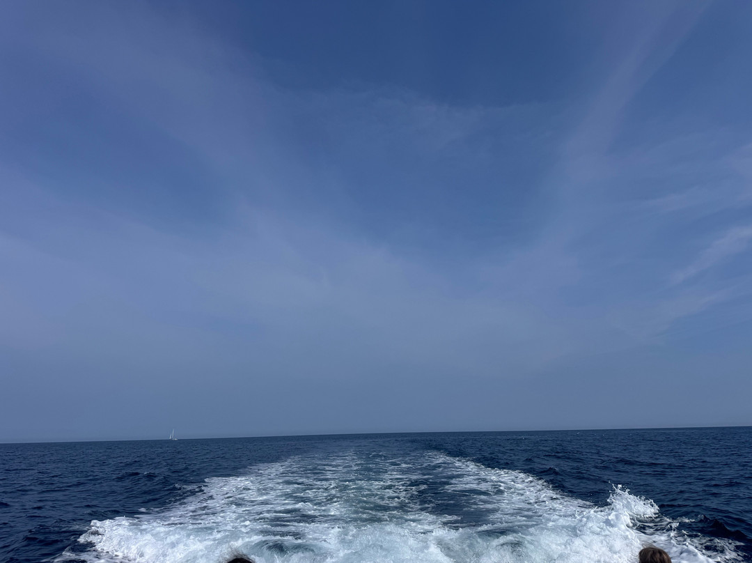 Aquila Charters-梅瓦吉西必去景点