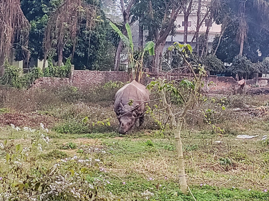 Chitwan Tharu Village-苏拉哈必去景点