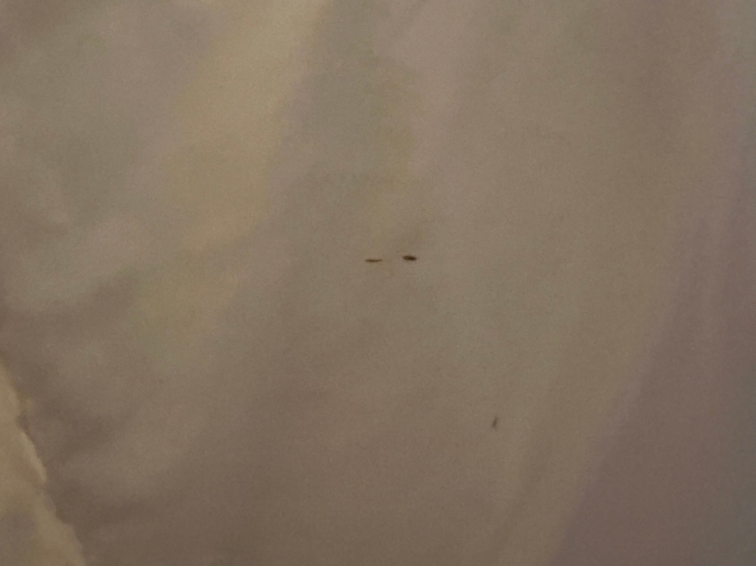蒙克顿温德姆Travelodge套房酒店主图