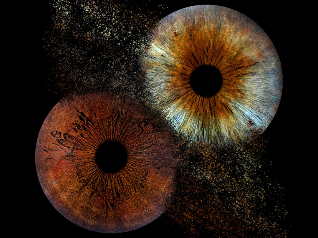 Iris Galerie Gent