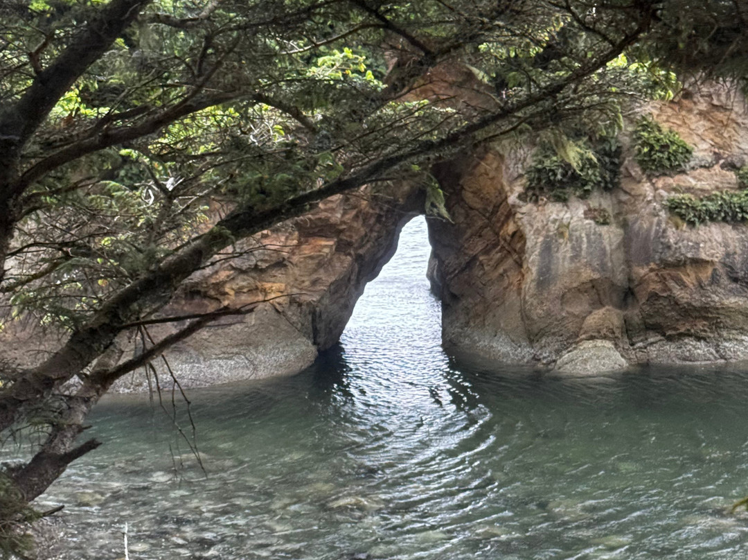 Oregon Coast Scenic Railroad-Garibaldi必去景点