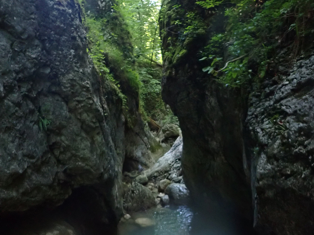 Canyoning Bled-布莱德必去景点