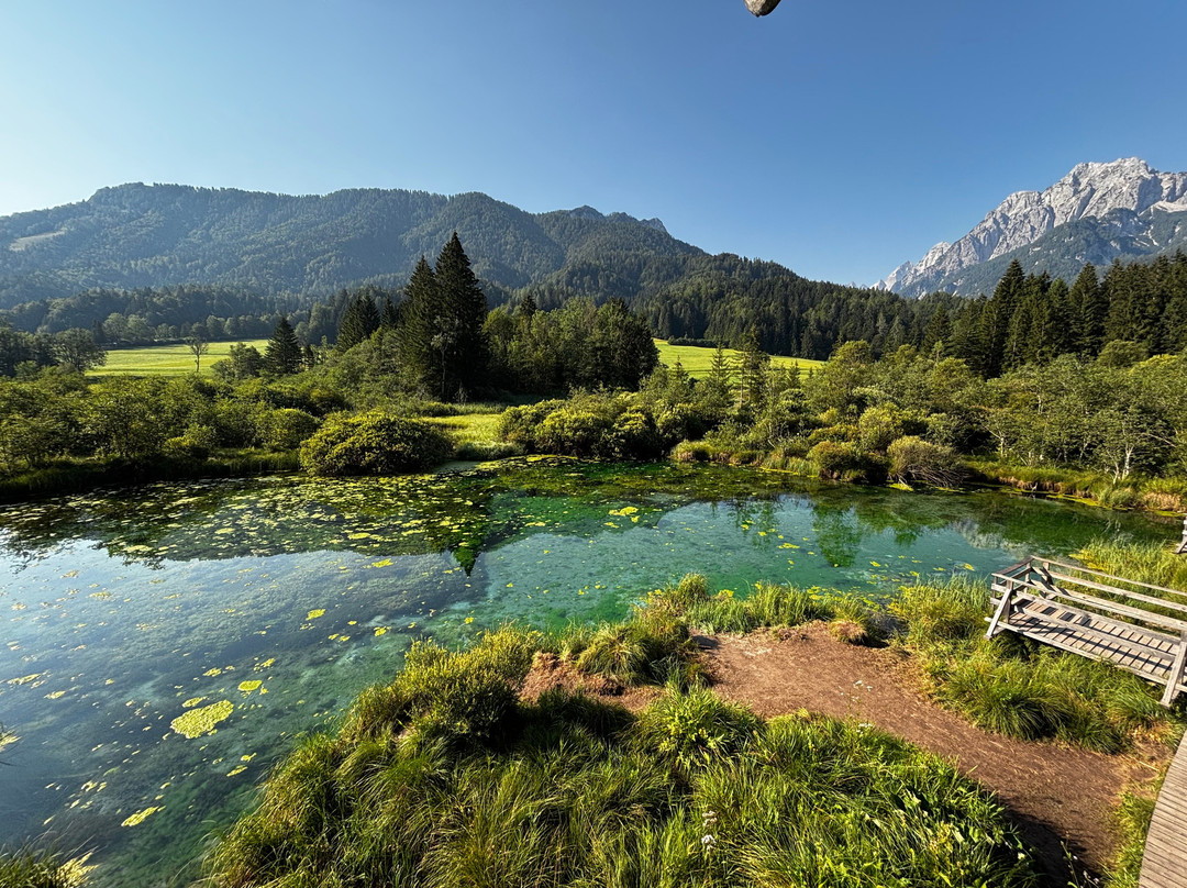Zelenci Nature Reserve-Kranjska Gora必去景点