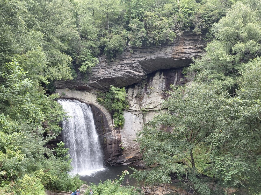 Looking Glass Falls-Pisgah Forest必去景点
