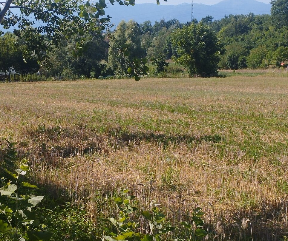 Veduggio con Colzano酒店住宿-Agriturismo Cascina Costa