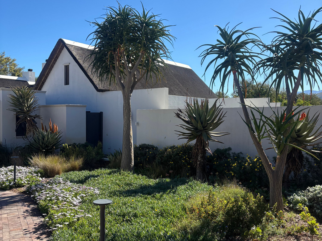 Graham Beck Estate (Robertson)-Robertson必去景点