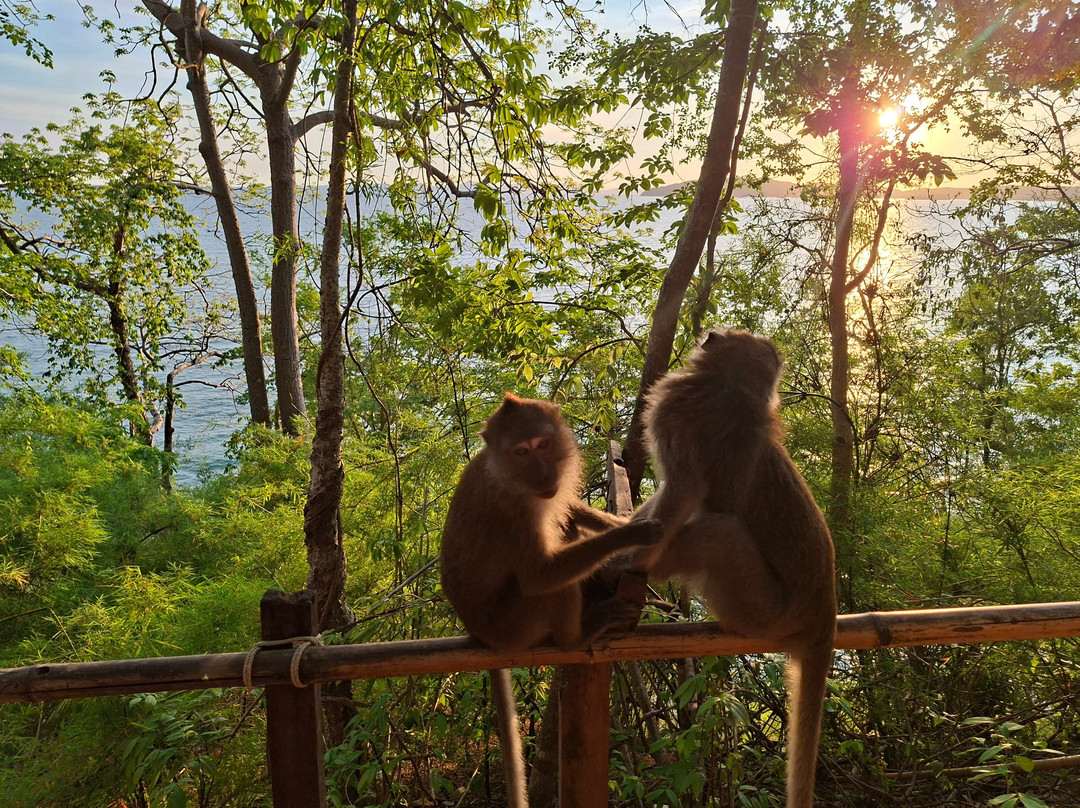 Monkey Trail-奥南必去景点