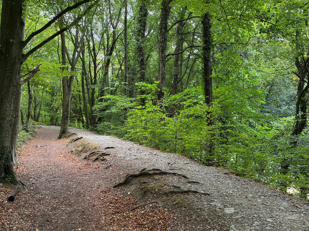 Loggerheads Country Park-Mold必去景点