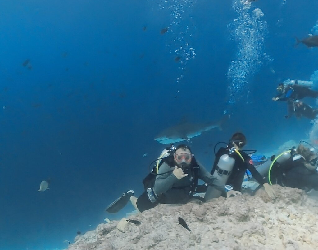 Pelagic Divers Fuvahmulah-Fuvahmulah必去景点