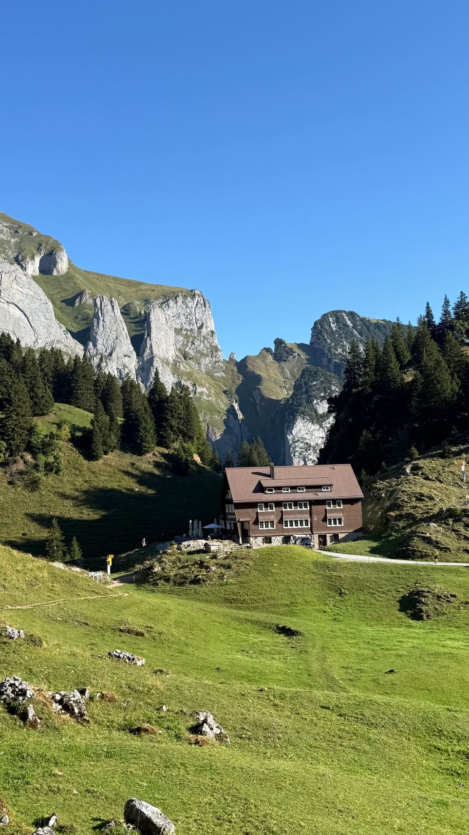 Berggasthaus Bollenwees-旅行者